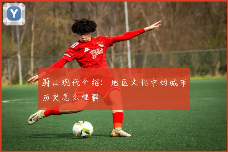 蔚山现代介绍:地区文化中的城市历史怎么理解