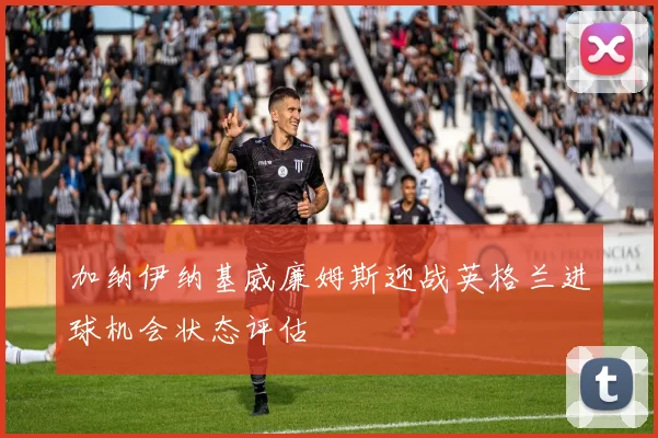 加纳伊纳基威廉姆斯迎战英格兰进球机会状态评估