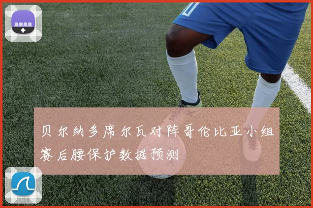 贝尔纳多席尔瓦对阵哥伦比亚小组赛后腰保护数据预测