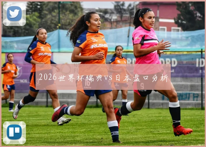 2026世界杯瑞典vs日本盘口分析