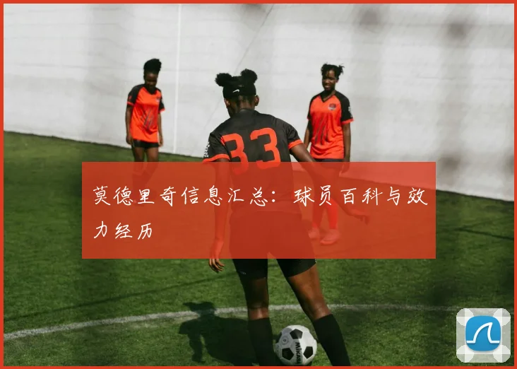 莫德里奇信息汇总：球员百科与效力经历